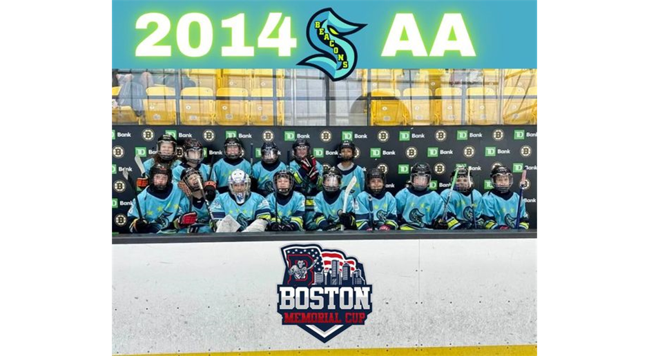 2014 Boston Team